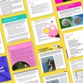 Frisbee e-book ZŁAP TĘ ZAJAWKĘ dla psów